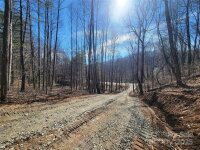 2200 Cove Creek Road, Waynesville, NC 28785, MLS # 4219876 - Photo #2