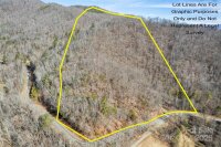 2200 Cove Creek Road, Waynesville, NC 28785, MLS # 4219876 - Photo #8