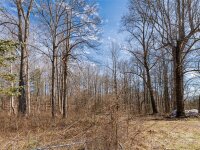 143 Ridgedale Road, Candler, NC 28715, MLS # 4222975 - Photo #9