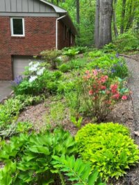 52 Griffing Circle, Asheville, NC 28804, MLS # 4231881 - Photo #40